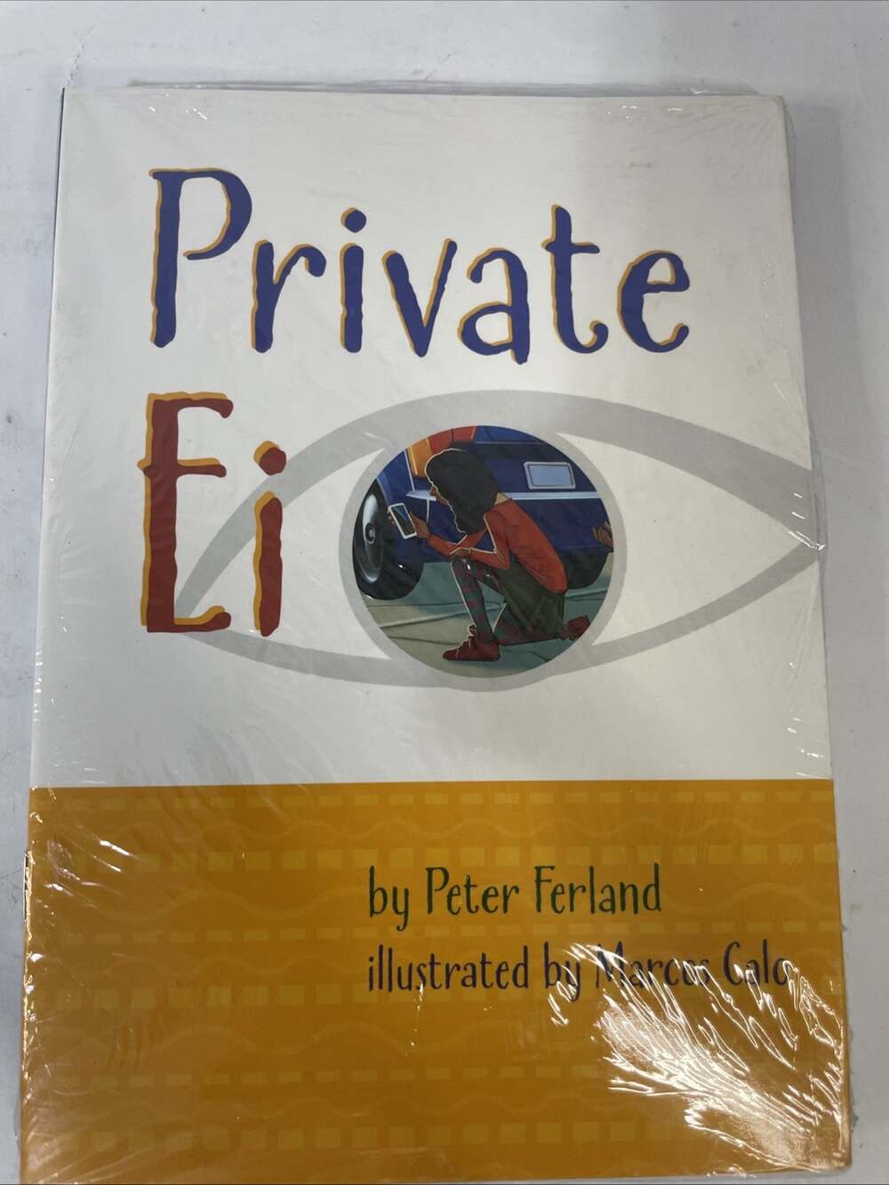 Fountas & Pinell Literacy Sealed 6 Pack Book Set Private Ei
